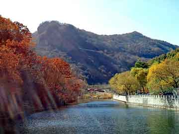 澳门精准正版免费大全14年新，田明建枪战视频